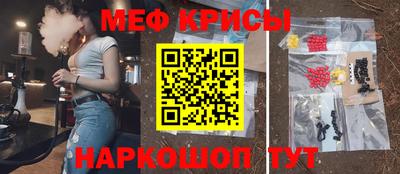 стаф Гатчина