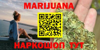 стаф Гатчина