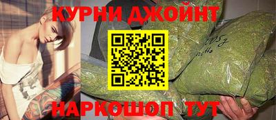 стаф Гатчина