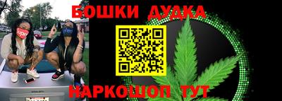 стаф Гатчина