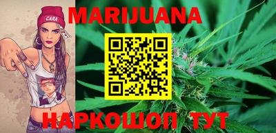 стаф Гатчина