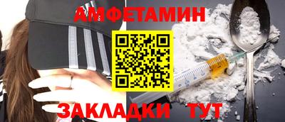 стаф Гатчина