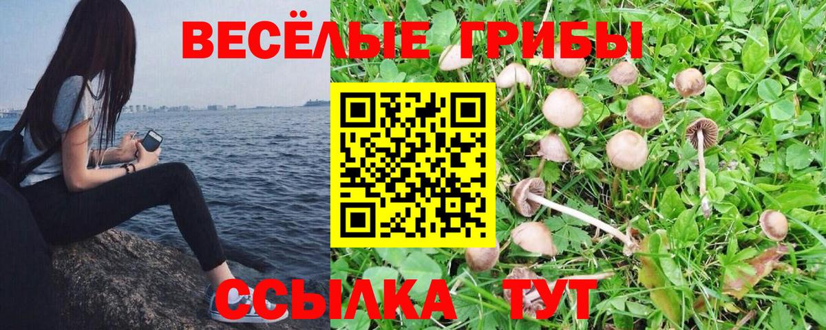 наркотики  Галлюциногенные грибы Magic Shrooms  Псилоцибиновые грибы прущие грибы  Вход с VPN  Дзержинский 