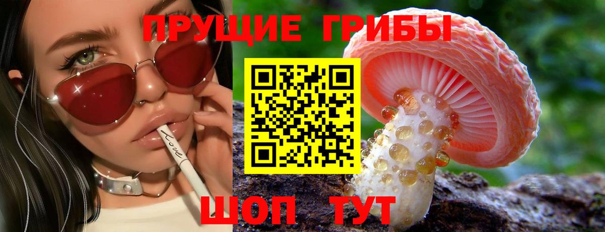 Псилоцибиновые грибы Cubensis Дзержинский